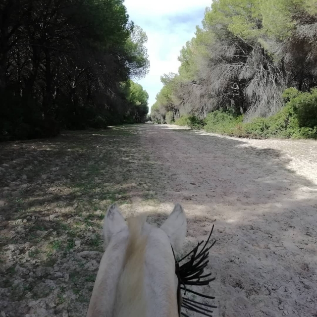 Vista en primera persona del trayecto