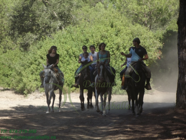 Grupo de amigos a caballo