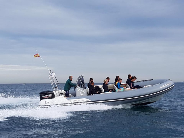  Segeln Sie zur Insel Lobos 