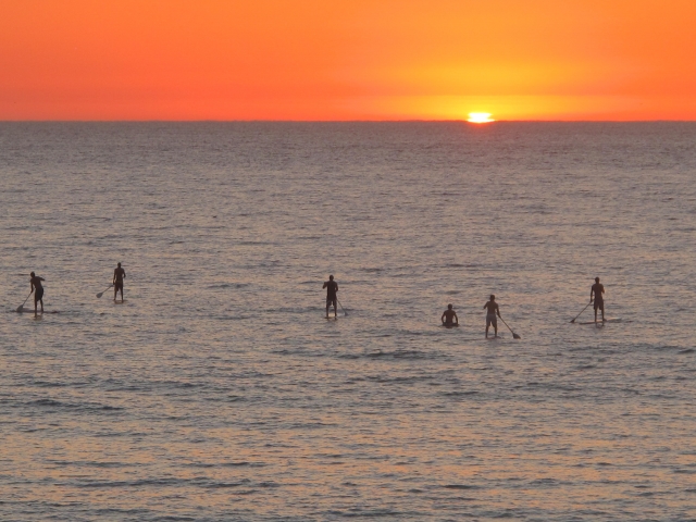  paffle surf 