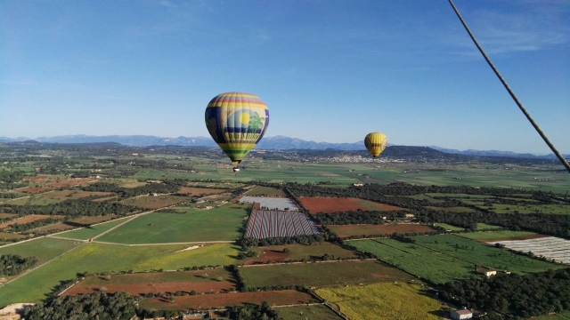  Balloons in the fields of Mallorca 
