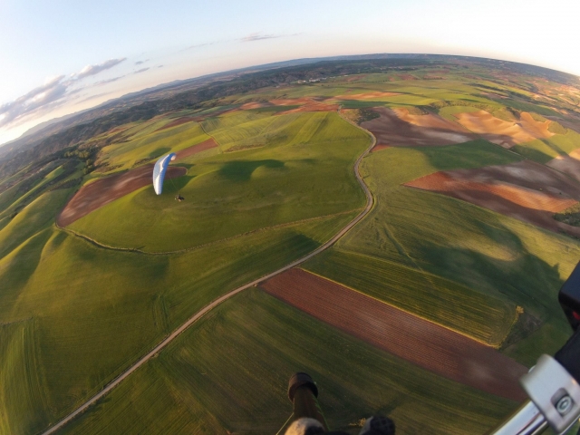 Volando sobre verdes campos