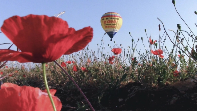 Nuestro globo