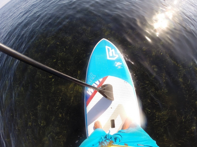  On the paddle surf board