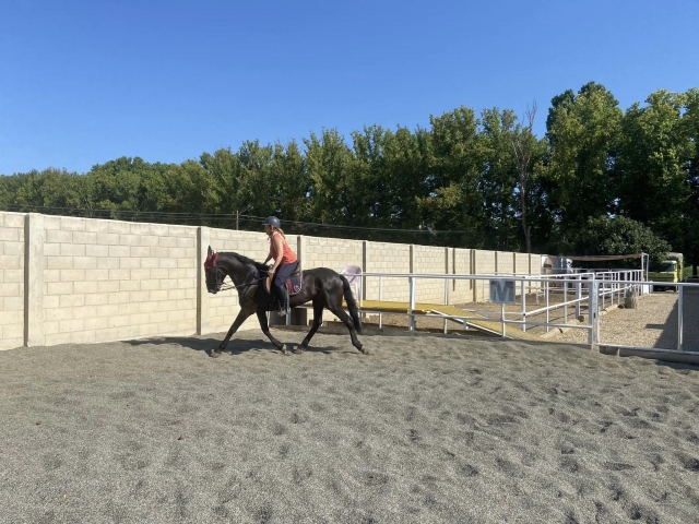  Reiten in Aranjuez