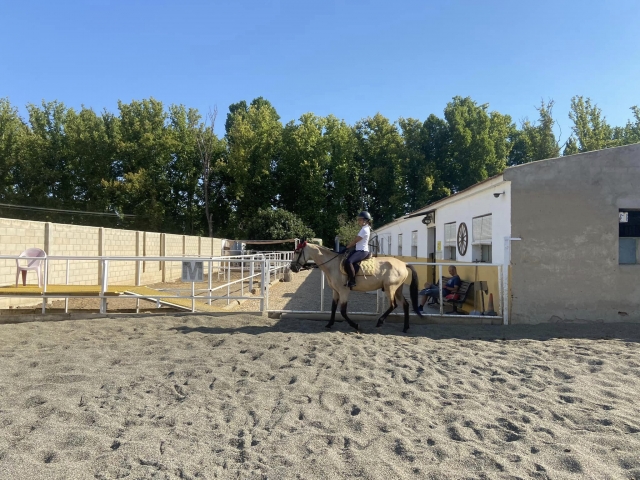  Reitkurs 