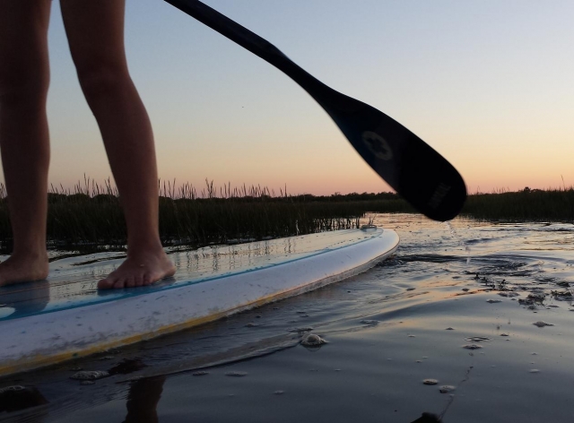 Alquiler de paddle surf