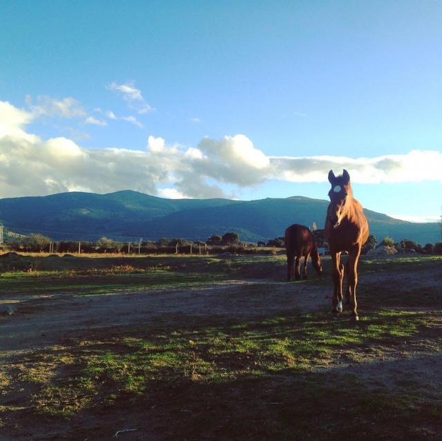  2-hour horseback riding route