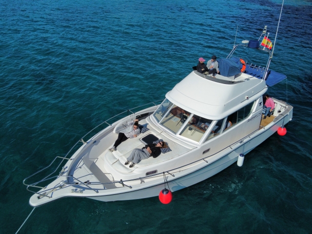 Evento de empresa con barco en Ibiza 8h temp alta