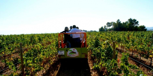 De paseo por los vinedos