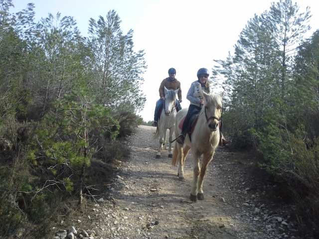 Dia de andar a cavalo 