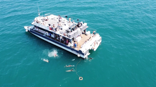 Catamarán en Valencia