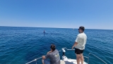 Location de bateau à Denia, 6 personnes, 4 heures