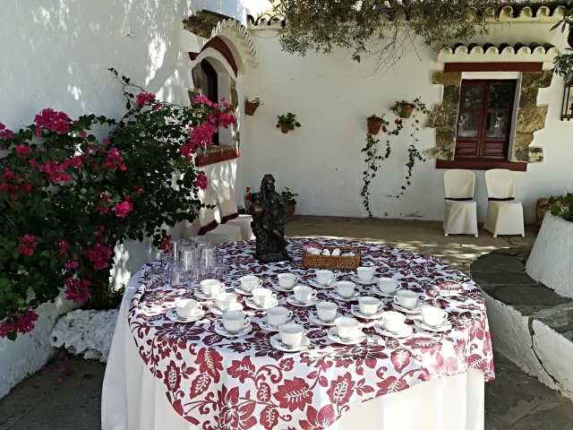  Café debaixo da oliveira centenária 