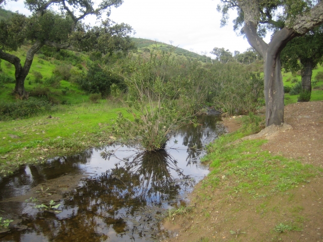  A serra 