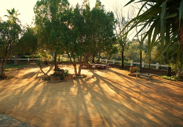  Jardim 