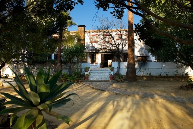  Acesso à casa pelo jardim 