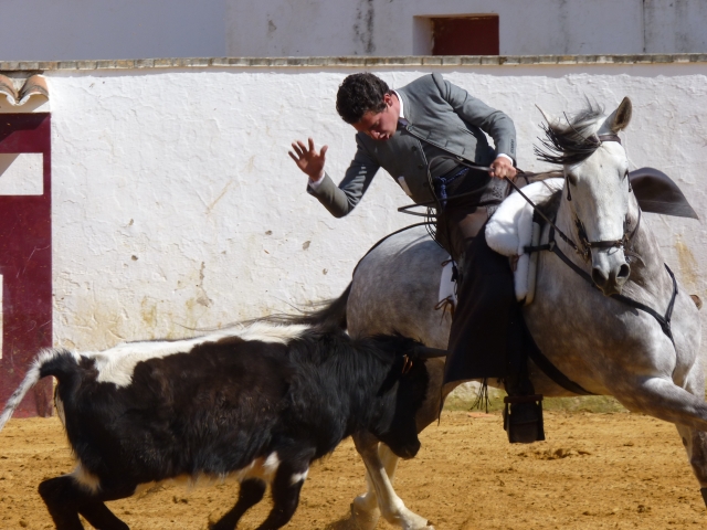  Touradas 