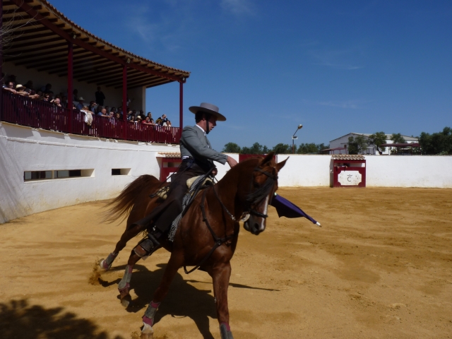  Exposição equestre 