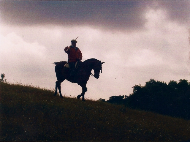  Trabalho de campo 
