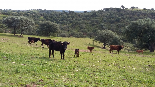  No coração da natureza 