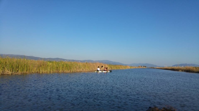 Paseo en kayak por la costa de Cádíz