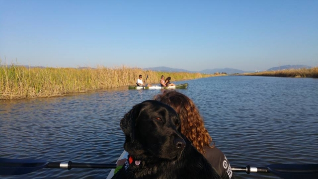  Cruising the Palmones River 