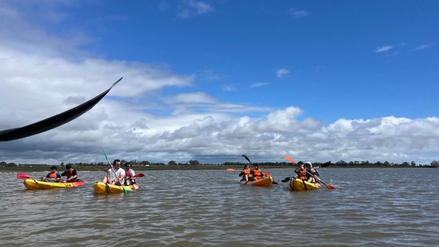 Paleando en los kayaks
