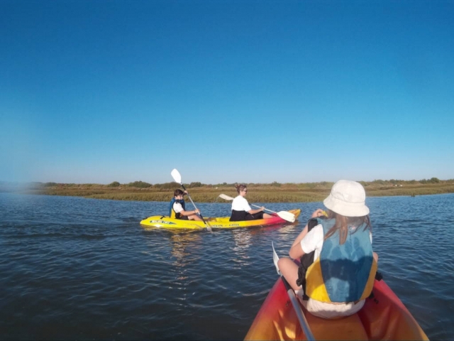  Kayak 