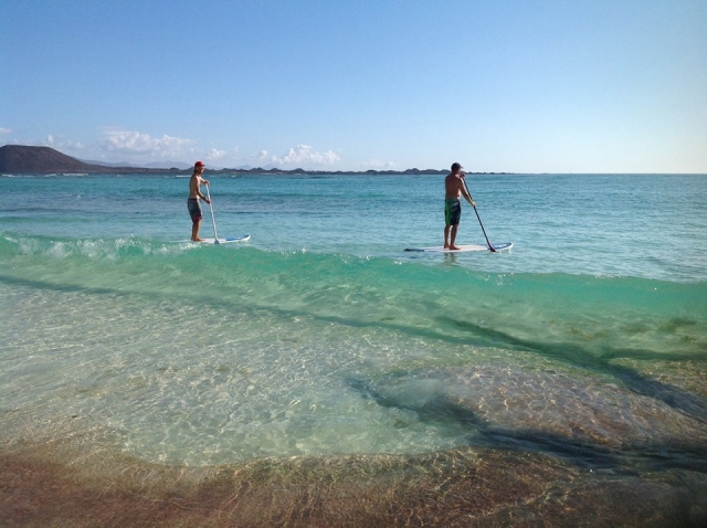 Alquiler de paddle surf en Fuerteventura