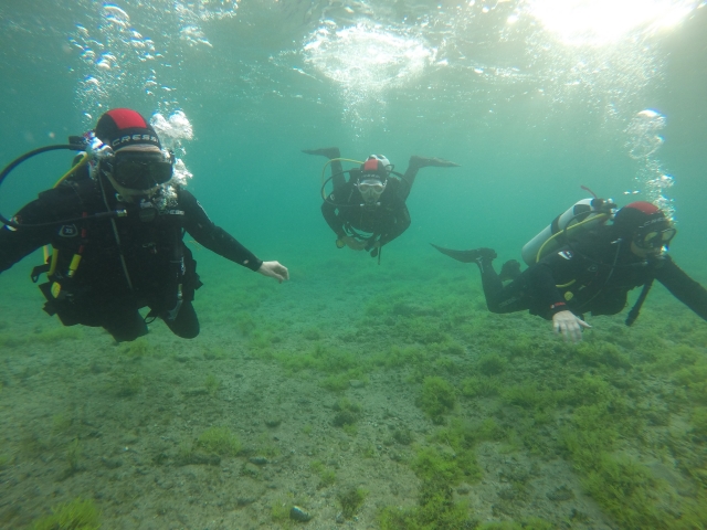  Diving course in Las Palmas 