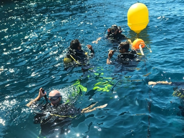  dans l'eau après avoir profité du baptisme de la plongée plongée à plongée -999