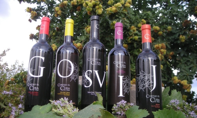 Botellas de vino