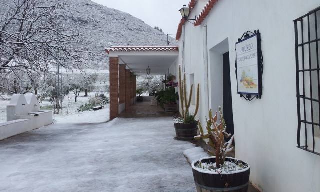 Museo Nevado