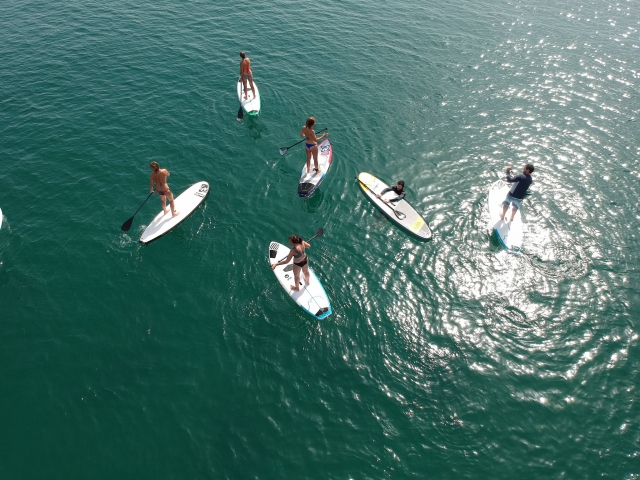  Noleggia attrezzatura paddle surf - 999 - Animale domestico SUP incluso