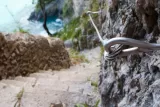 Wandern in Monte Buciero und Berria Beach 6 Stunden