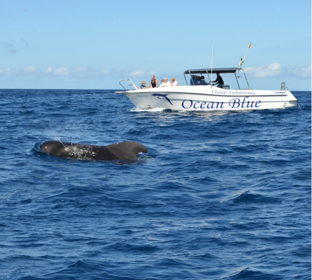  Charter 
