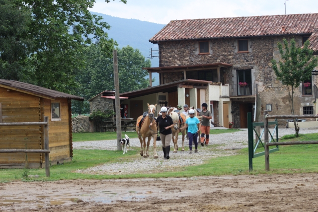 Cavalli nella fattoria 