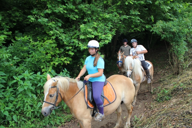 Tour equestre 