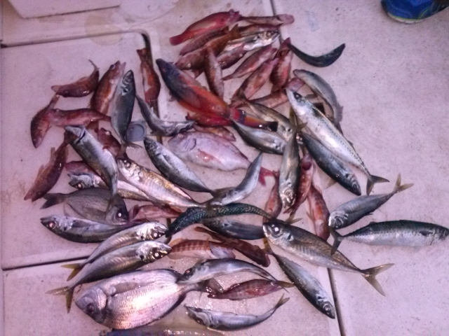 Jornada de pesca