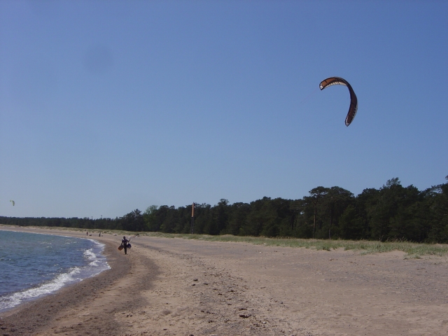  flying kite