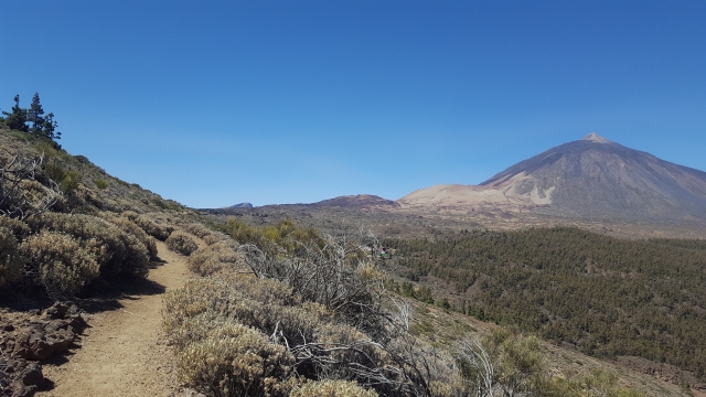 Alto de Guamaso 