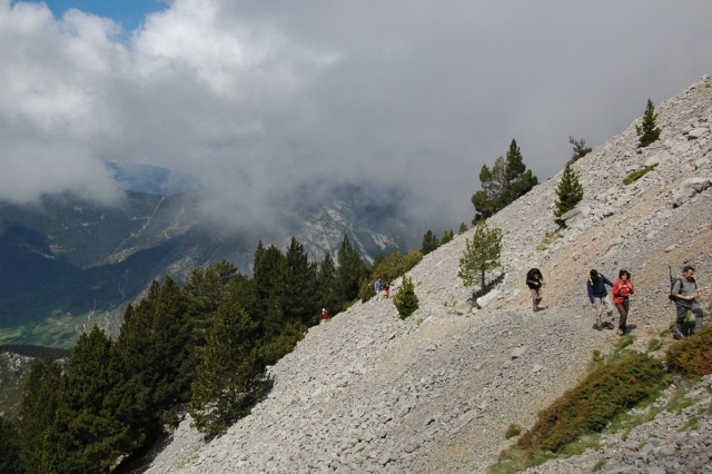 caminos de montana