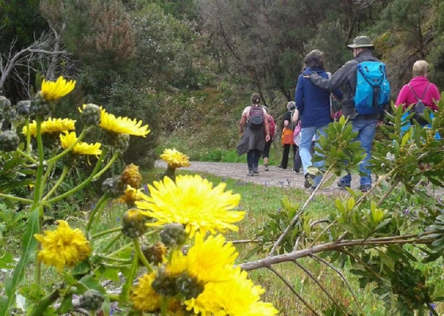 Caminhando pela natureza 