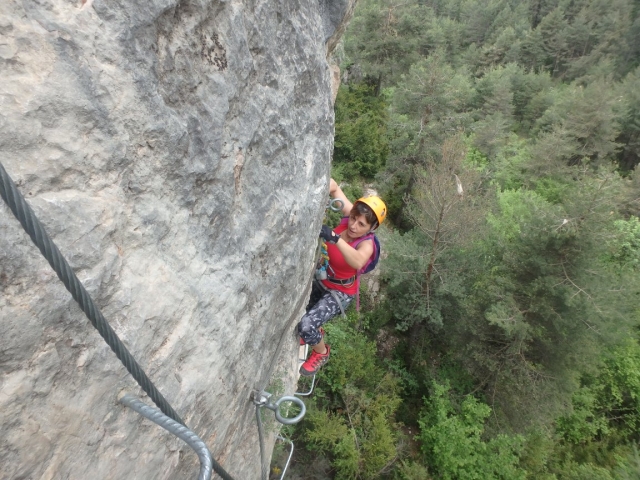  Climbing the staples of the stone wall 