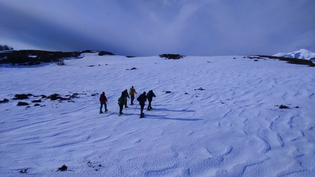 among snow. 