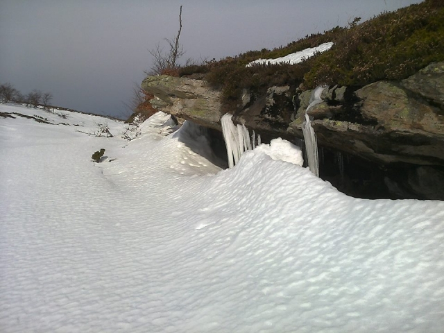  the white snow 