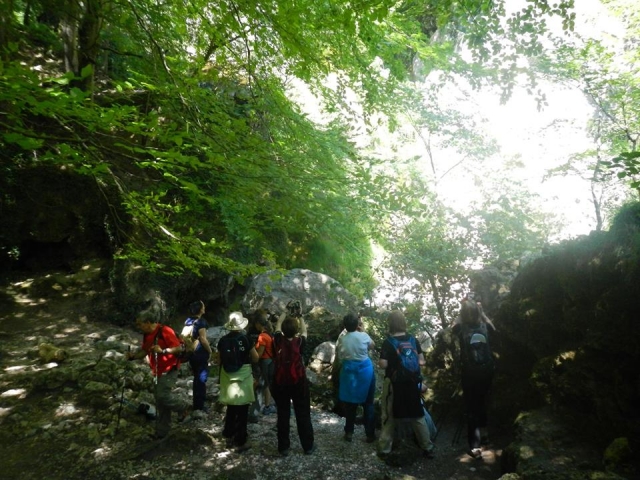  Caminhada nórdica urbasa 