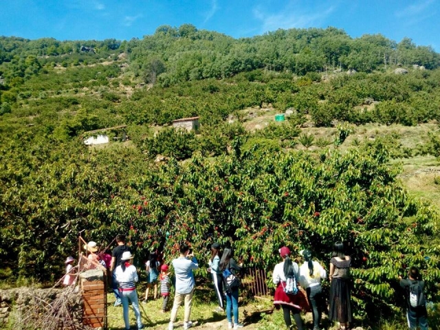  Hiking for team building 