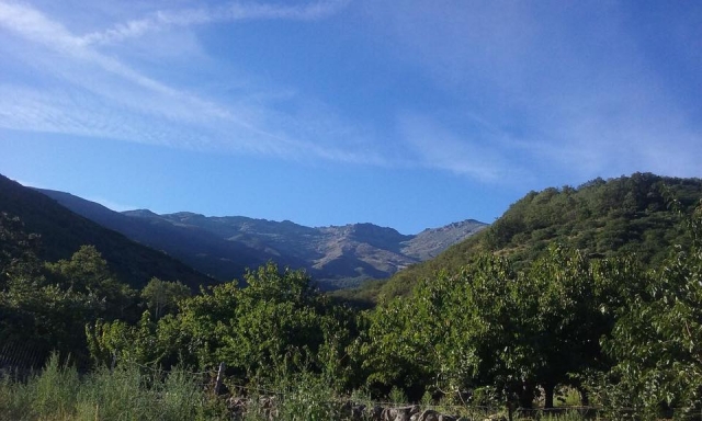 Un día en el Valle del Jerte